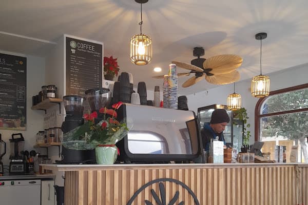 PLANT SHACK Puerto Pollenca — gluten-free restaurant in Port de Pollença