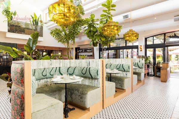 Paradiso — gluten-free restaurant in Dallas, Texas