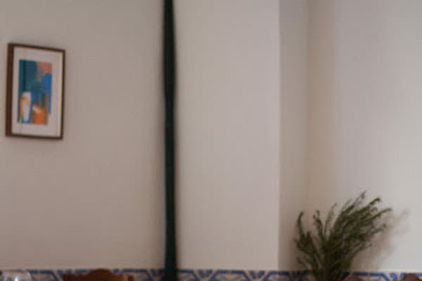 ATO Restaurante — gluten-free restaurant in Faro