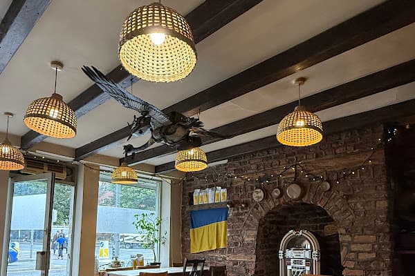 Goose on the Loose — gluten-free restaurant in Dublin