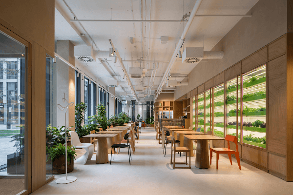 Green Table — gluten-free restaurant in Prague