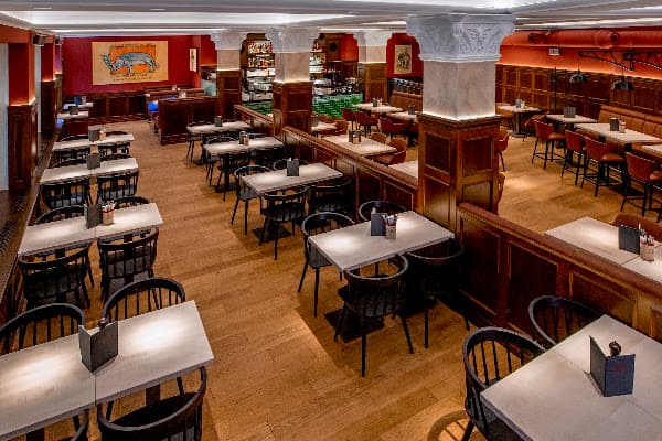 Elefant Bonn — gluten-free restaurant in Bonn