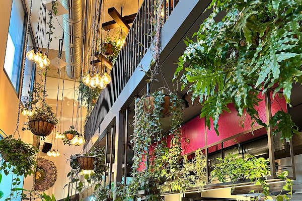 BEETNUT — gluten-free restaurant in Zurich