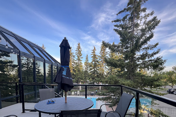 Selia Bar — gluten-free restaurant in Calgary