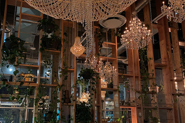 Orchard Restaurant — gluten-free restaurant in Calgary