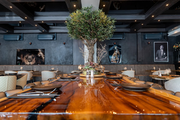 Restaurant Black Olive Amsterdam — gluten-free restaurant in Amsterdam