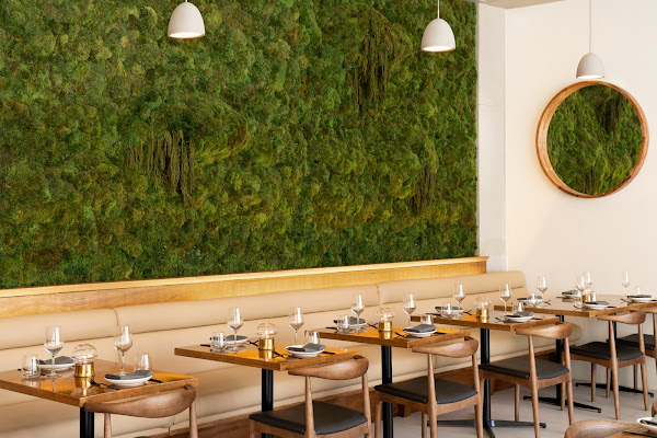 Lindens — gluten-free in New York